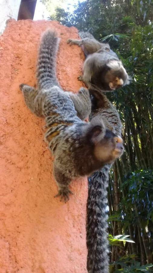 Do Tucano Bed and breakfast *